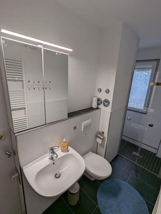 Ferienwohnung Elbaue Barby Екстер'єр фото
